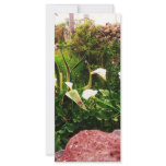 Lilly Flowers & Rock Mexico Full Color Rack Card