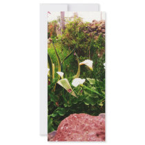 Lilly Flowers & Rock Mexico Full Color Rack Card