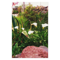Lilly Flowers & Rock Mexico stationery