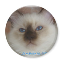 Lilly holy Burma Refrigerator Magnet