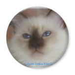 Lilly holy Burma magnets