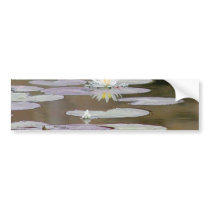 Lilly Lillies Ponds Lillypads bumper stickers
