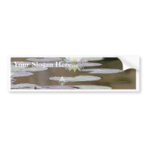 Lilly Lillies Ponds Lillypads bumper stickers by lifesphere Lilly Lillies Ponds Lillypads bumper stickers