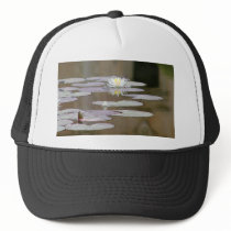 Lilly Lillies Ponds Lillypads hats by lifesphere Lilly Lillies Ponds Lillypads hats