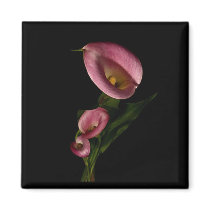 Lilly Magnet by orglioness Lilly Magnet