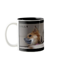 Lilly mugs