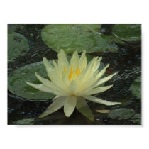 Lilly Pad posters by squinter96 Lilly Pad posters