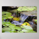 Lilly Pad Waterfall Poster
