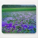 Lilly Pads Mousepad mousepad
