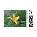 lilly postage