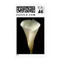 Lilly postage