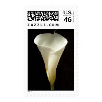 Lilly postage