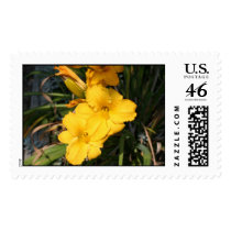 LILLY postage
