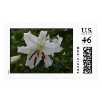 LILLY postage