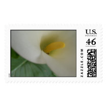 Lilly postage