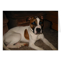 Lilly saved by CPRFUND.COM cards