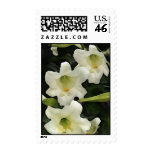 Lilly Stamps