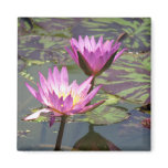 Lillypad Magnets
