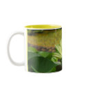 Lillypad mugs