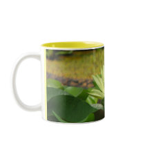 Lillypad mugs
