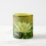 Lillypad mugs