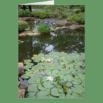 Lillypads cards by LunarRaven Lillypads cards