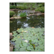 Lillypads cards by LunarRaven Lillypads cards