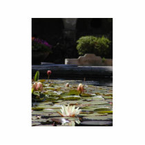 Lillypads Waterlily photo sculptures by lifesphere Lillypads Waterlily photo sculptures