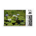 Lillypond postage by bainsgate Lillypond postage