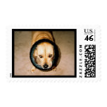 Lilo in Tire postage