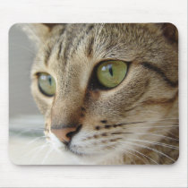 Lilo Mousepad mousepads