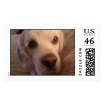 Lils Close Up postage by crisdasilva Lils Close Up postage