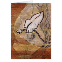 Lily 3 cards