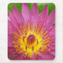 Lily Ablaze mousepads