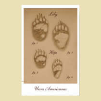 Lily and Hope Paw Print posters