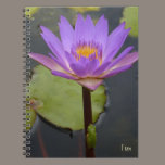 Lily and the frog notebooks