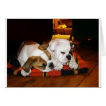 Lily and Ziggy Holiday Pose Card