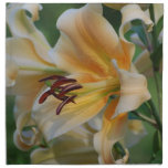 Lily Blossoms Set of Four Napkins