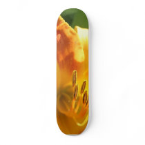 Lily board skateboards