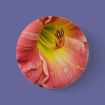 Lily buttons