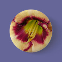 Lily buttons