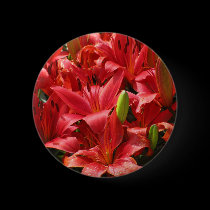 Lily Button buttons