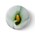 Lily buttons