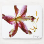 "Lily" by J. Maya Luz mousepads