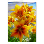 Lily Cards