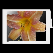 Lily cards