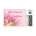 Lily date stamp