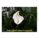 lily, Even a flower doesn't compare! cards