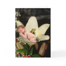 Lily Flower Baby Greeting Card