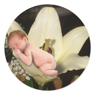 lily_flower_baby_round_sticker-p217935725395460870qjcl_400.jpg